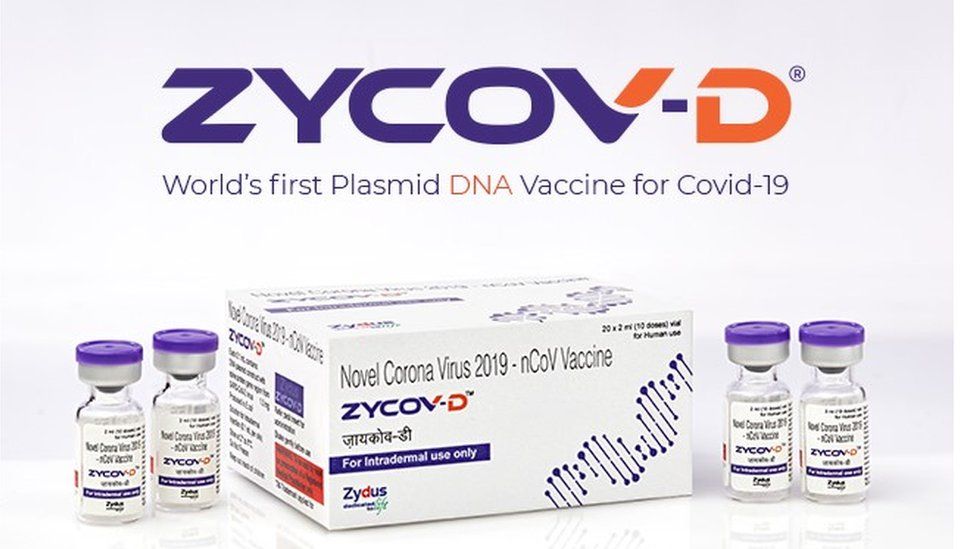 zydus needle free corona vaccine zycov d