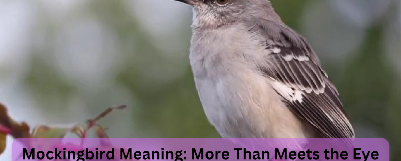 mockingbird meaning