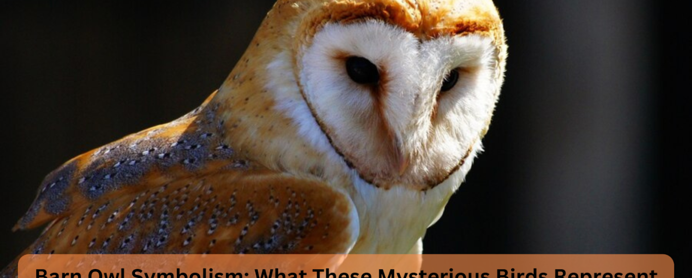 barn owl symbolism