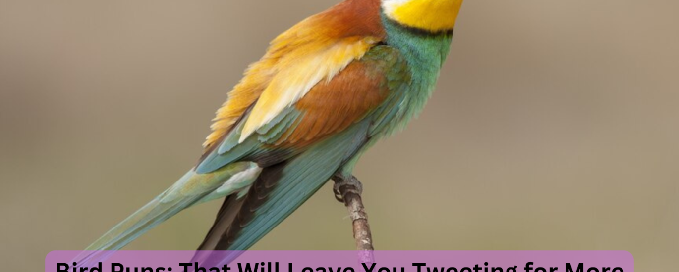 bird puns