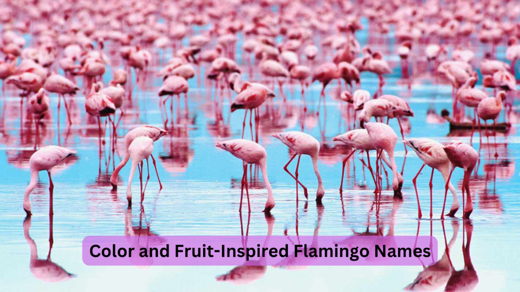 Tropical and Nature-Inspired Flamingo Names