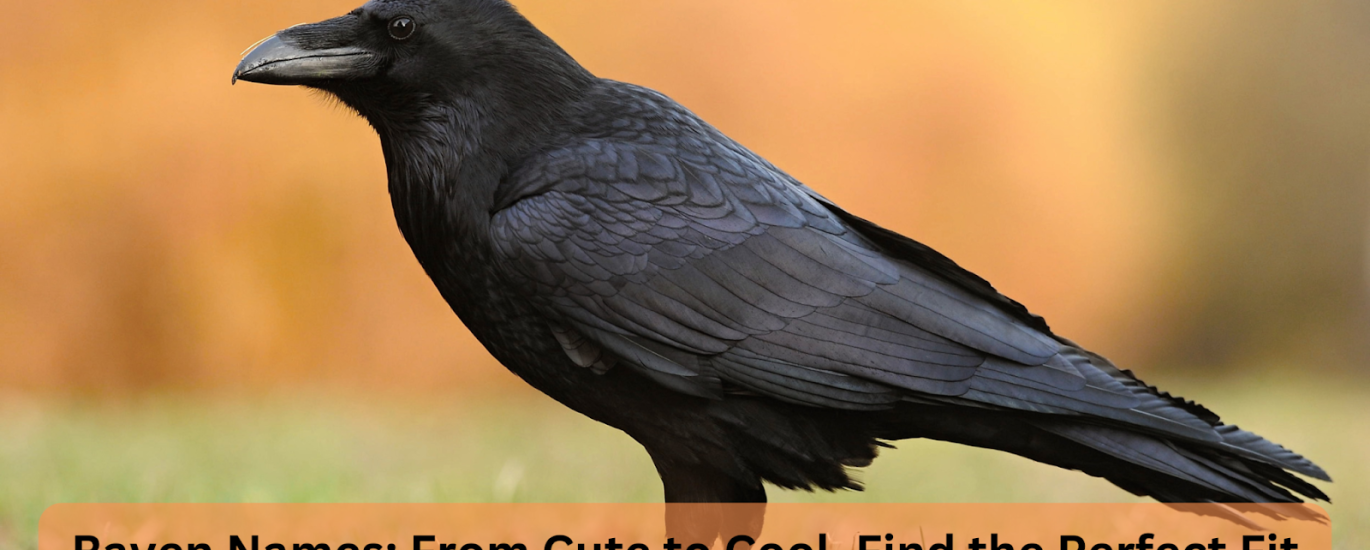 raven names